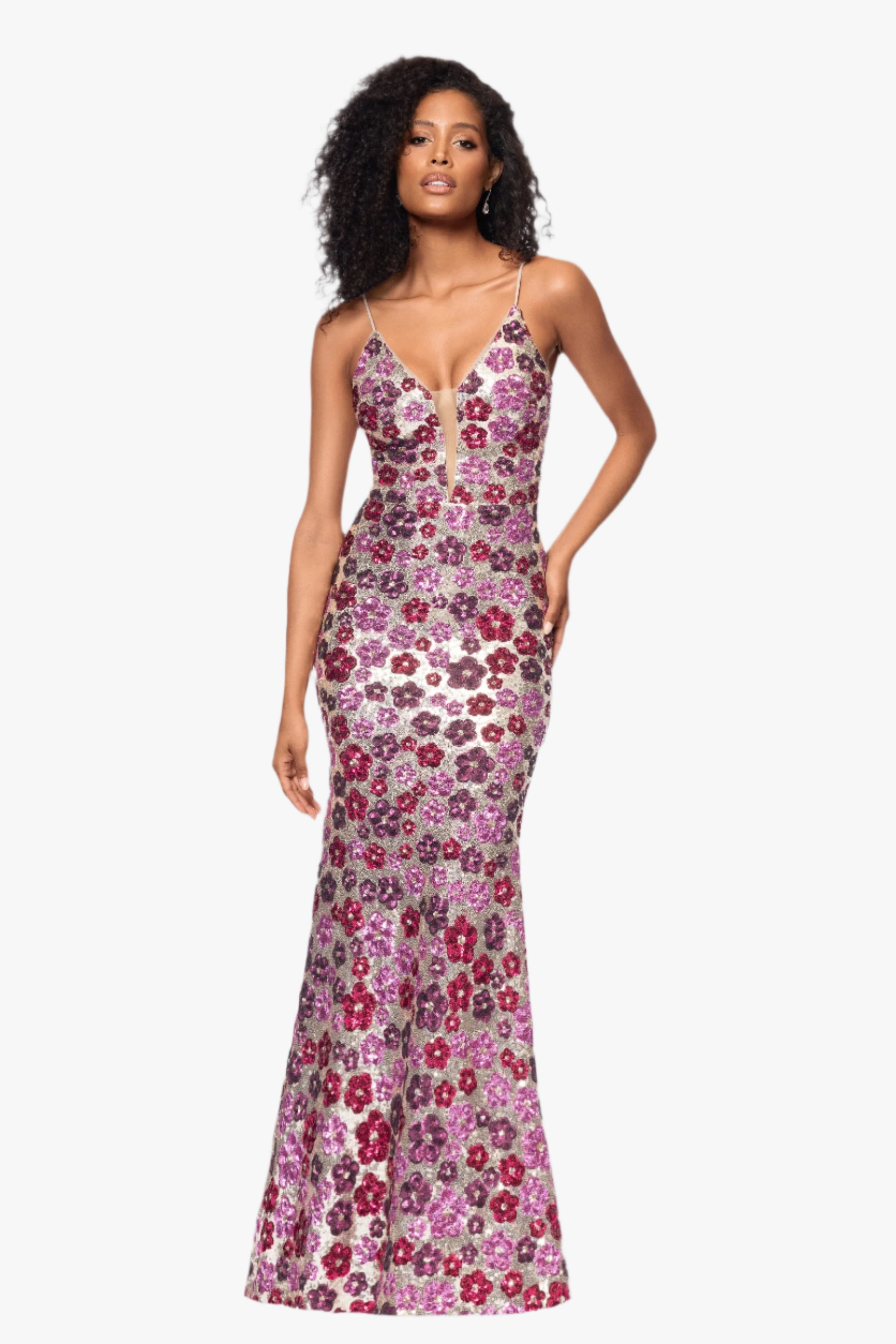 "Rava" Sequin V-Neck Illusion Mesh Insert Floor Length Dress